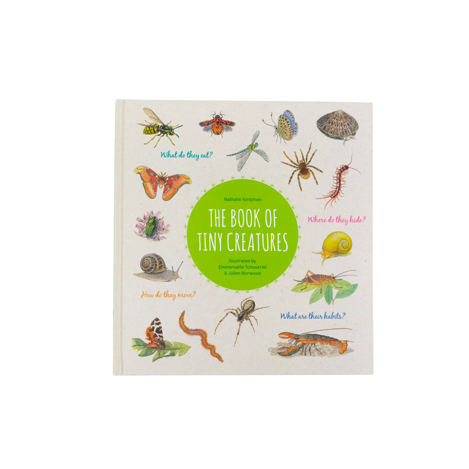 the book of tiny creatures by nathalie tordhman